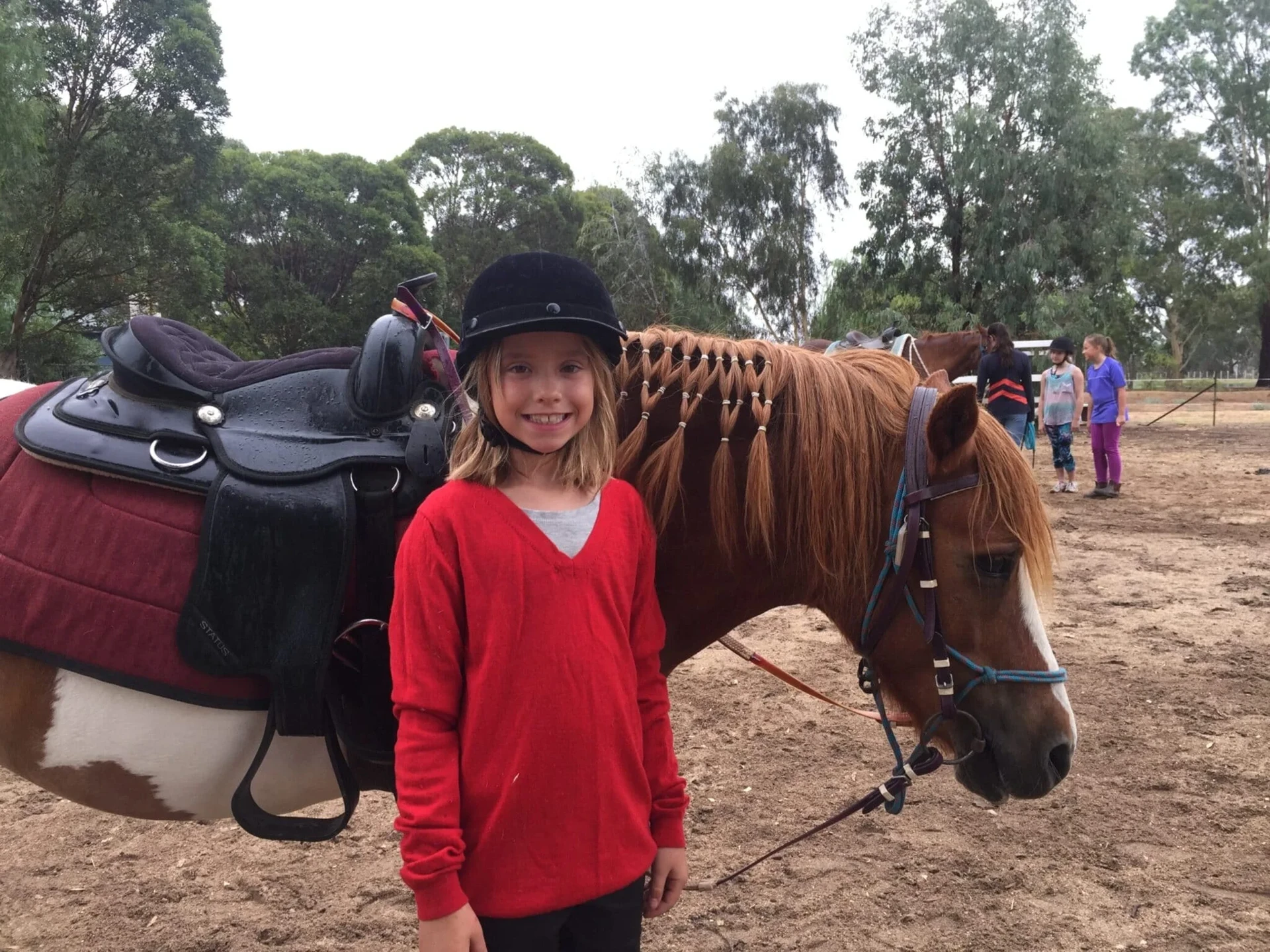 A horsemanship and riding lesson in the arena
