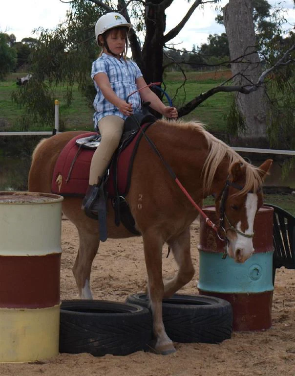 Sarah with her HorseHand horse