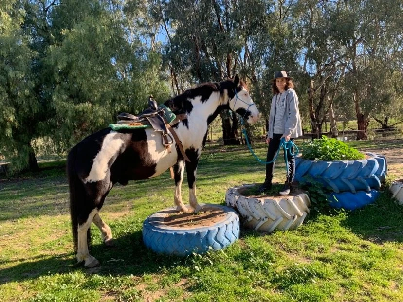 Connecting with a horse during a HEAL session