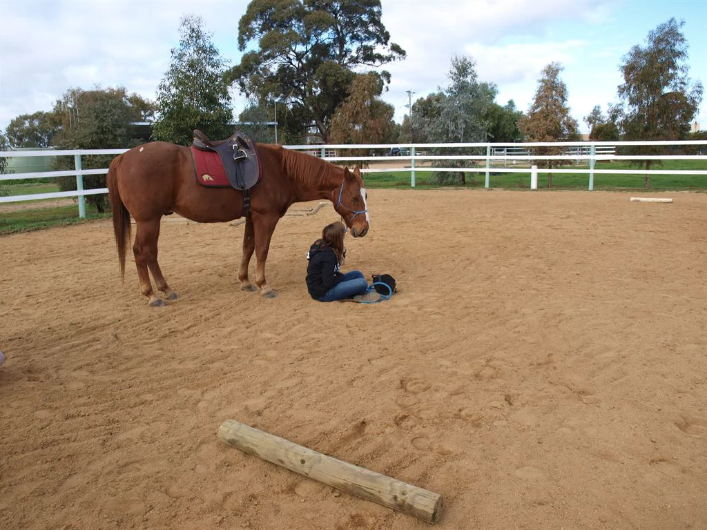 Junior Club HorseHand riders on their own horses