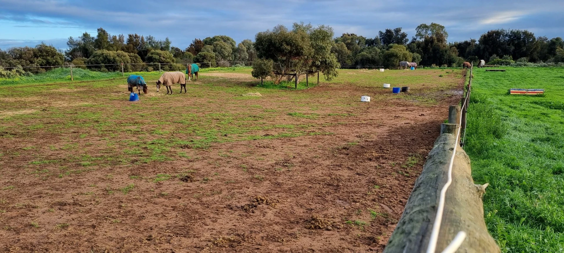 Day paddocks