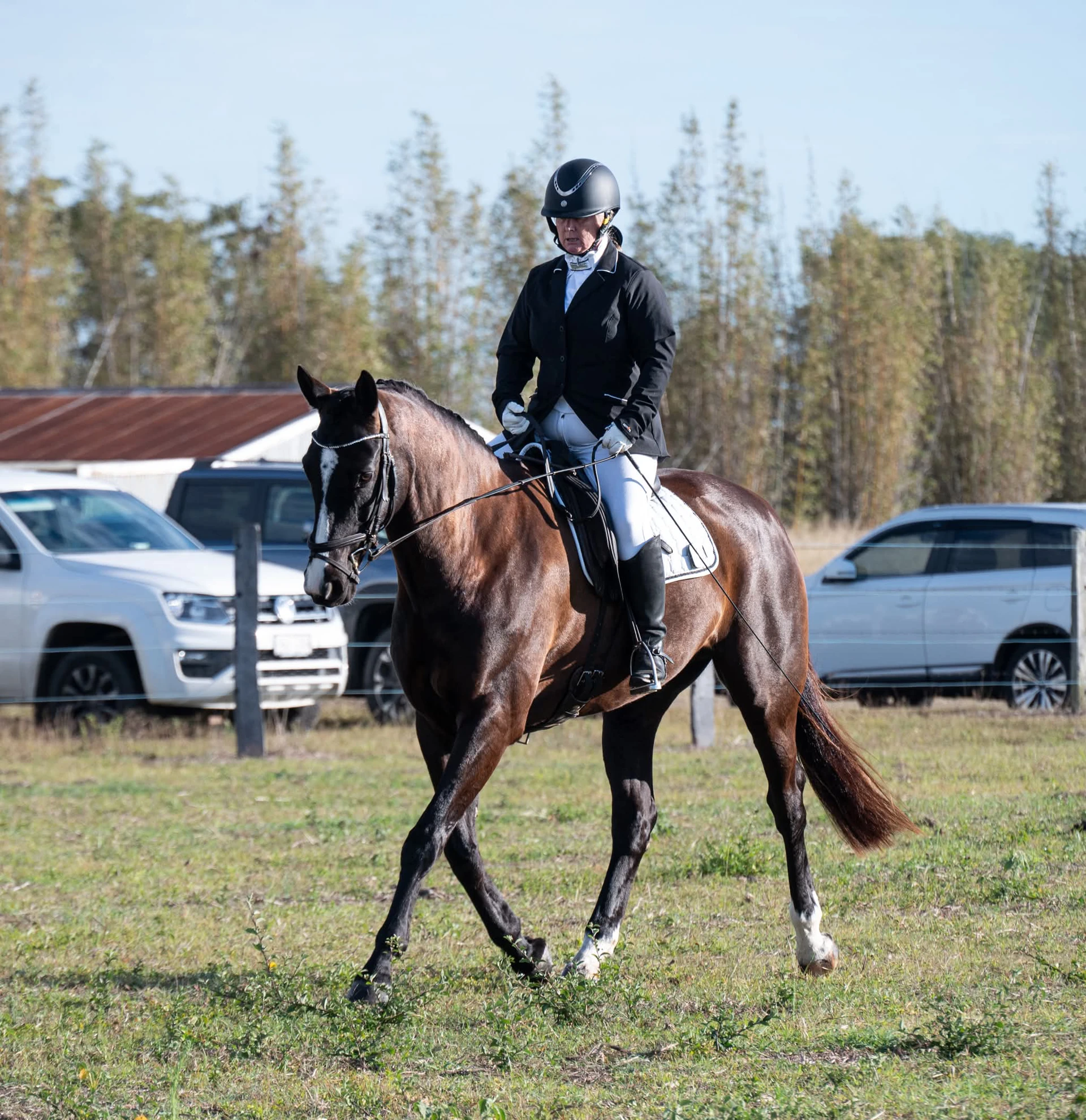 Riverview Equestrian Competition Day July 2026
