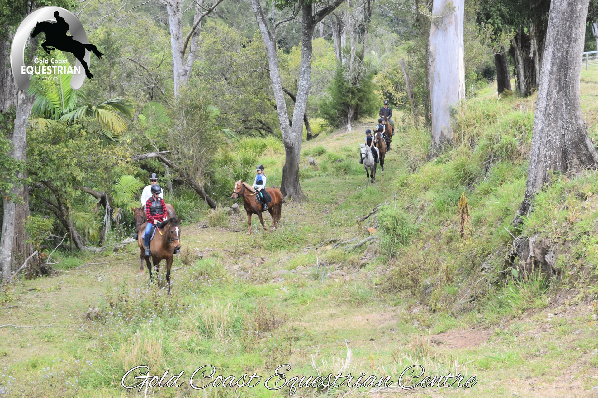 A trail ride through the bush