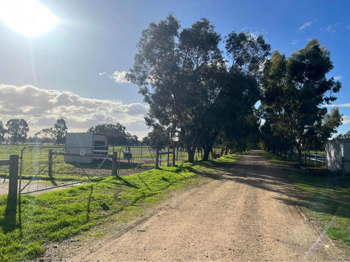Deluxe agistment with easy road access