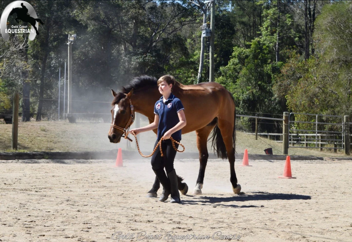 A rider leading her horse in the arena