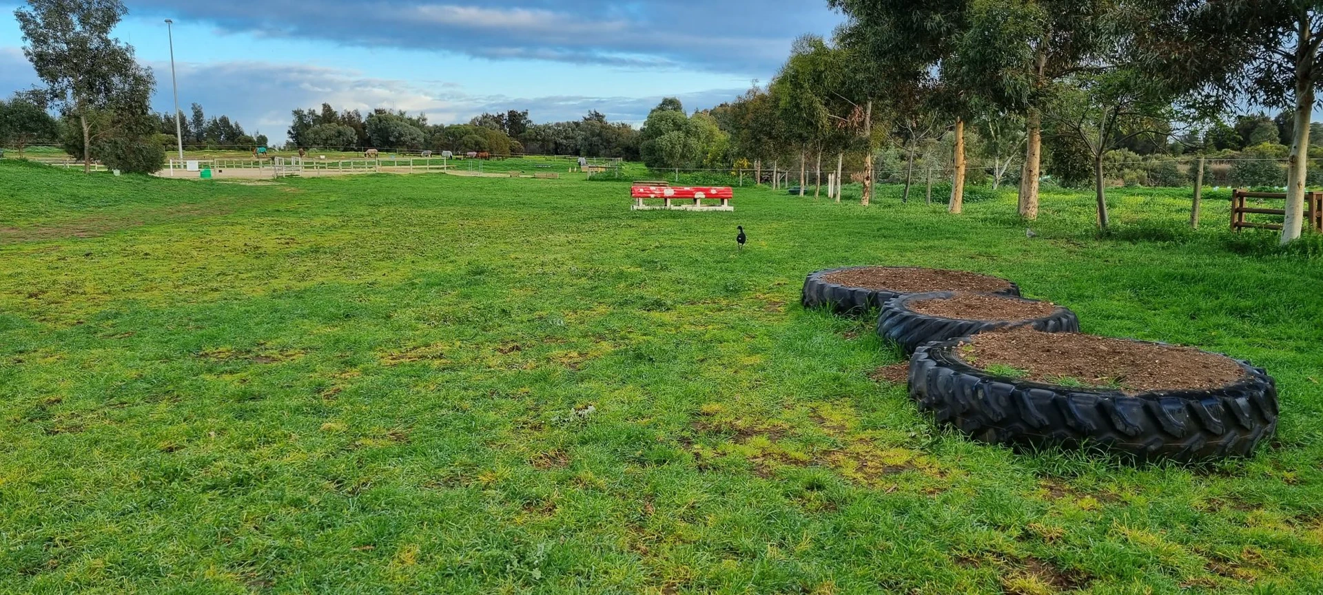 Riding area with cross country jumps