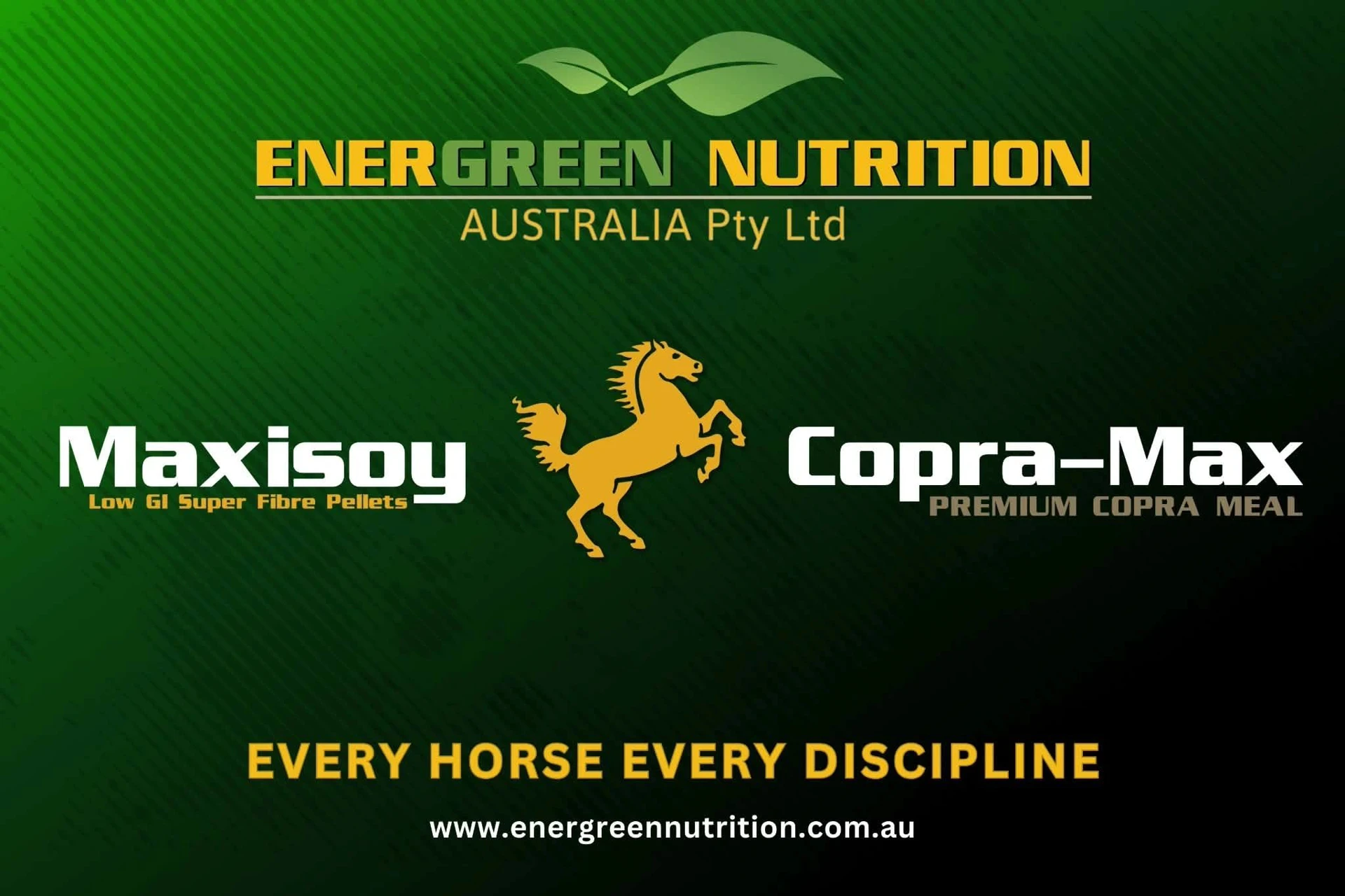 Evergreen logo