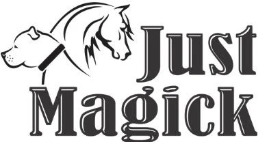 Just Magick logo