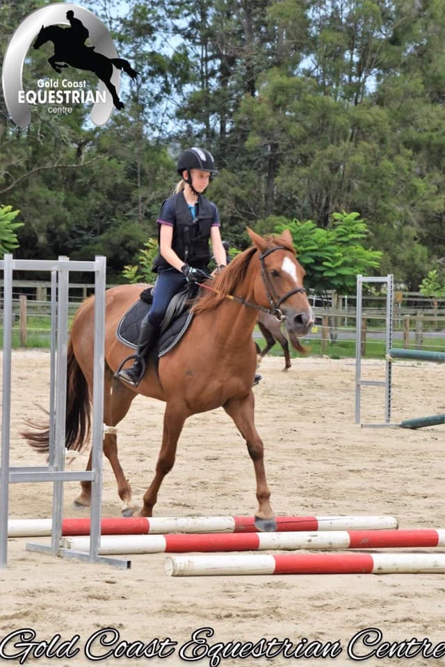 A young rider jumping a chestnut pony