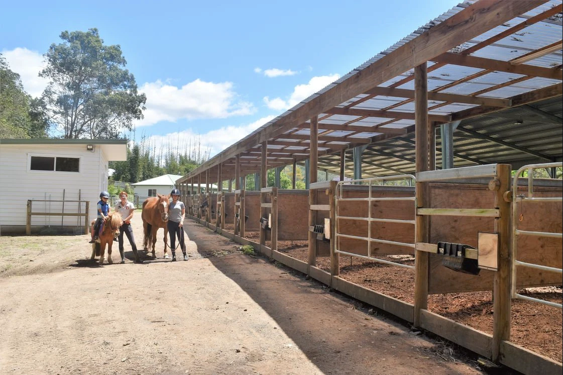 Horses in the stable row