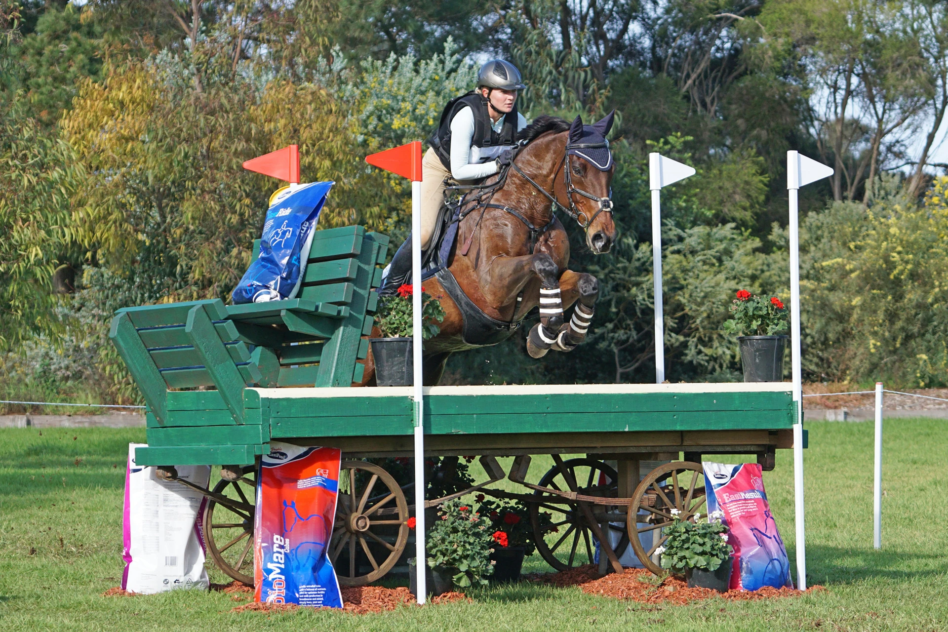 Jumping a wagon fence on a cross-country course
