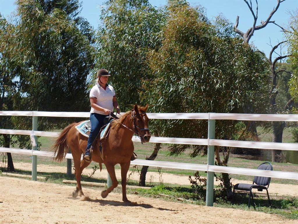 Shelly and Amish