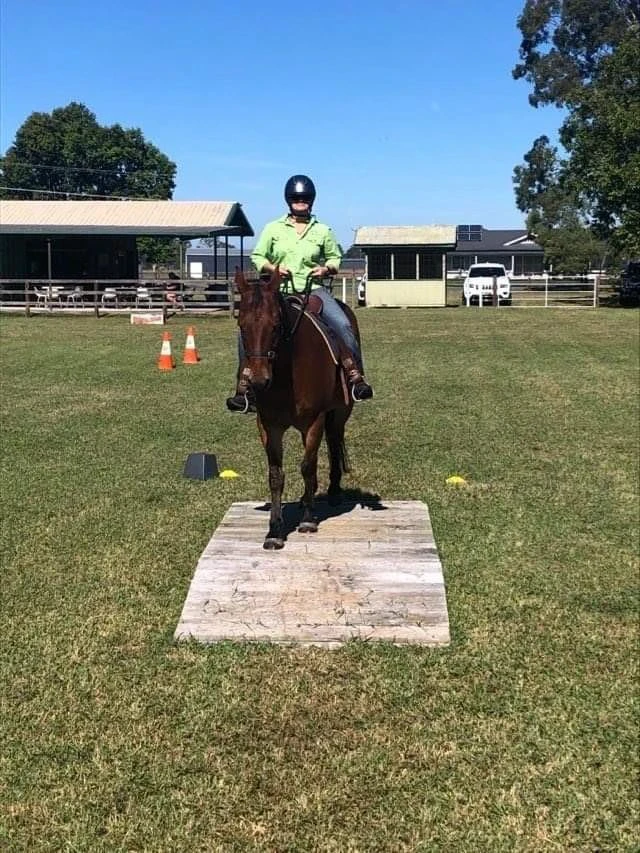 Working equitation