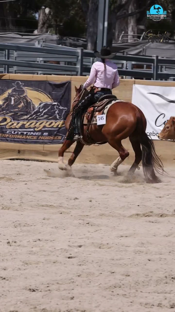 A chestnut horse works in front of the Paragon banner