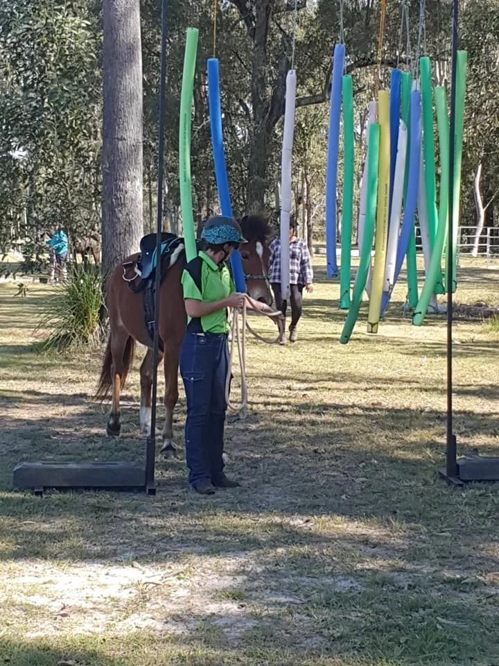 Trail obstacles
