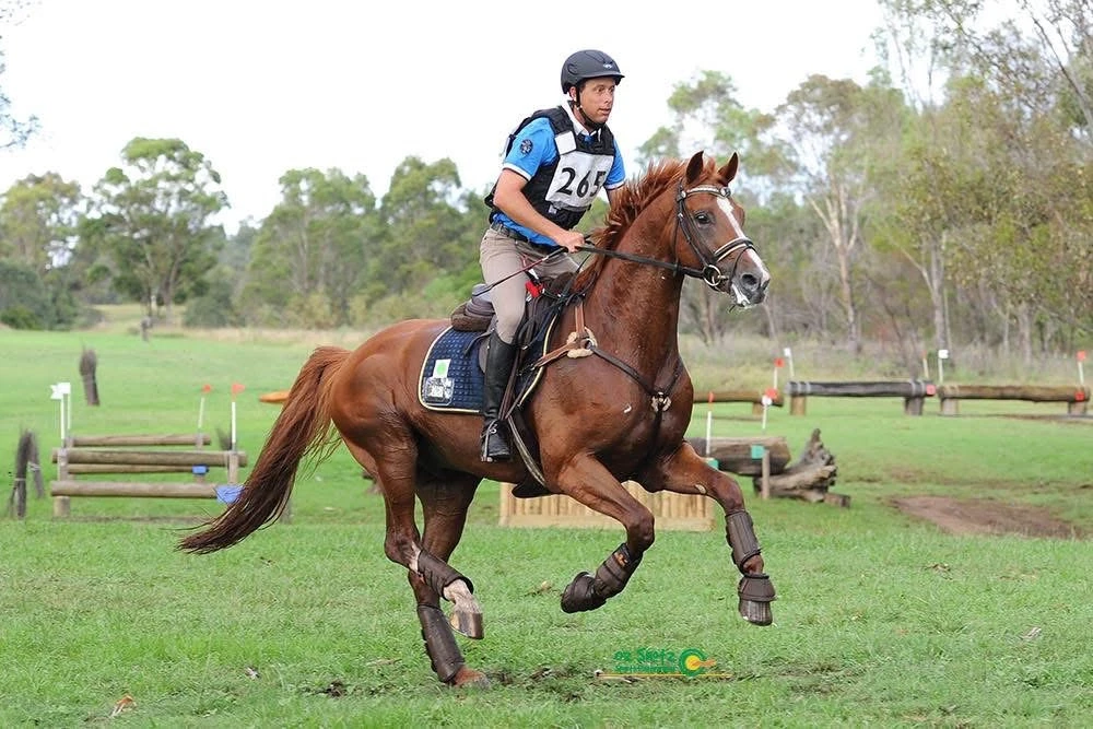 Cantering on a cross-country course
