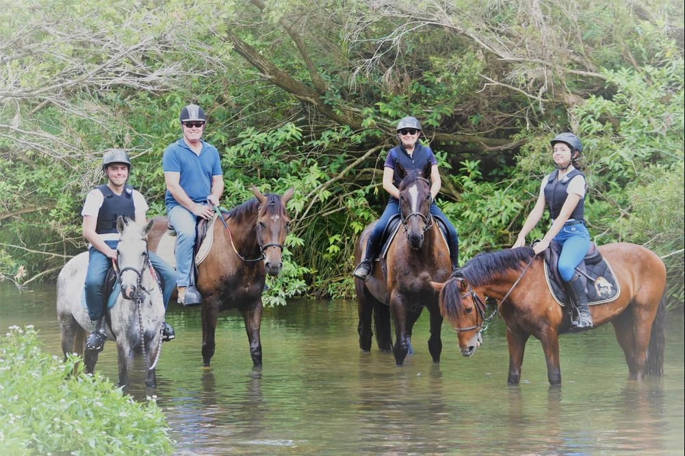 Four riders in the river