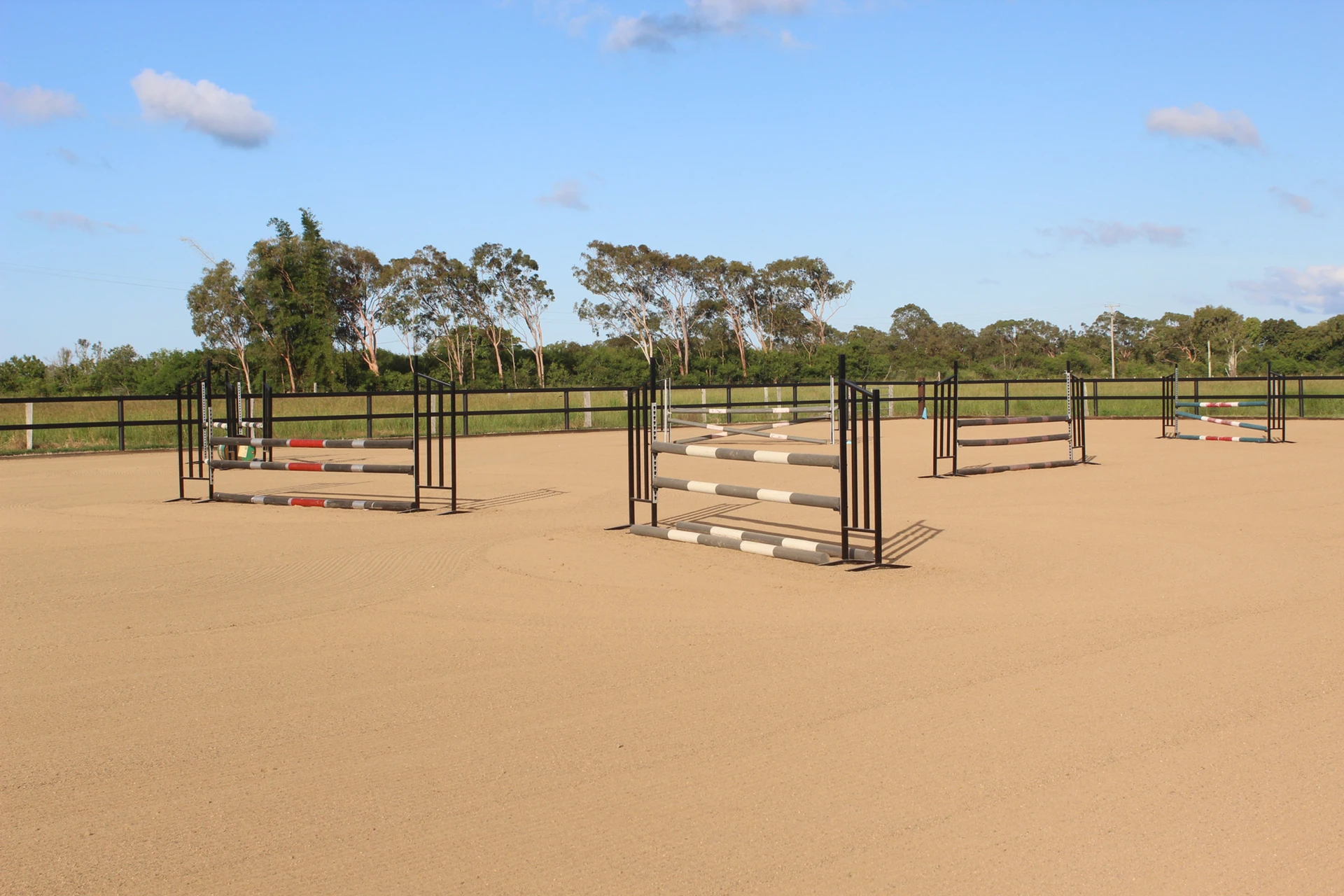Show jumps in the sand arena