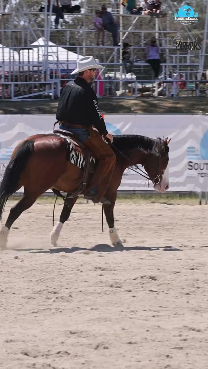 A bay horse lopes a circle in the rein work
