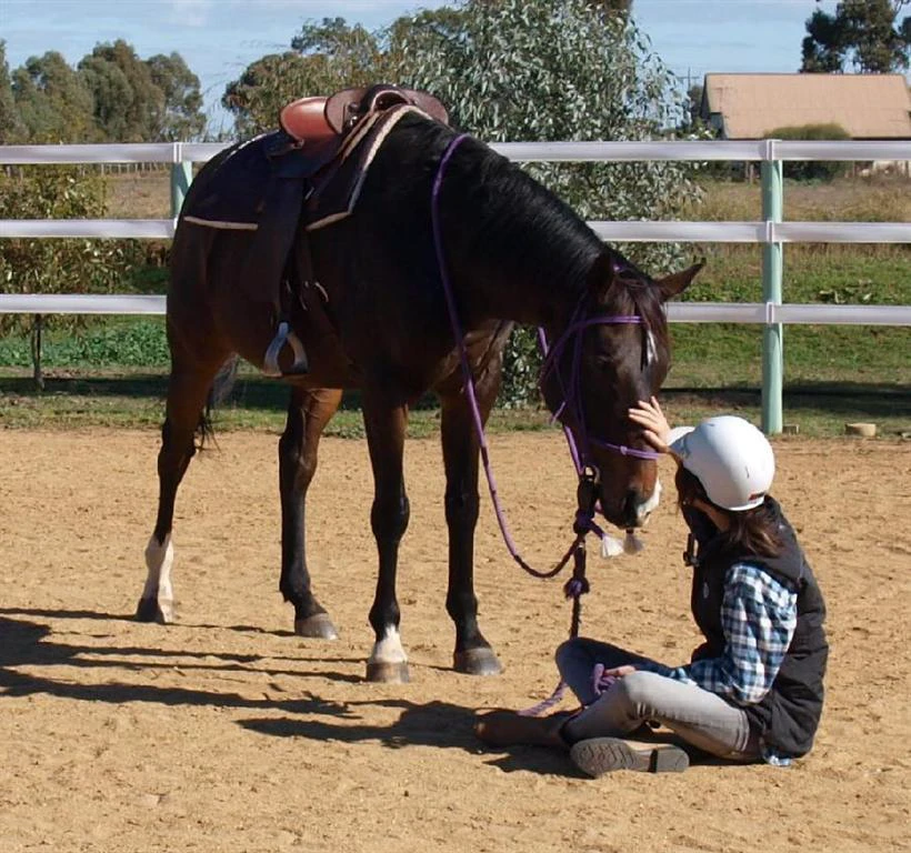 Junior Club HorseHand riders on their own horses