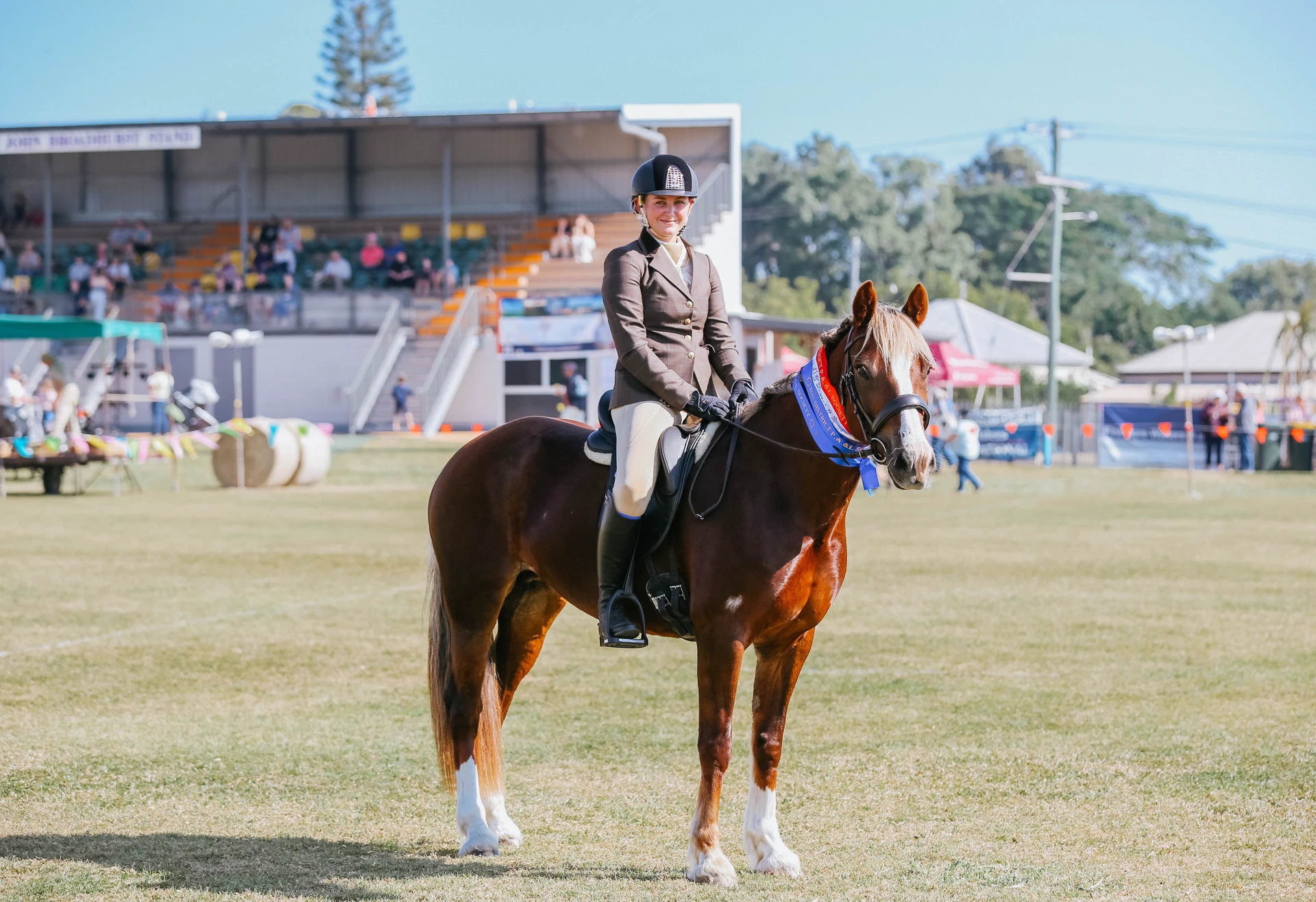Horse and rider with a sash at a show