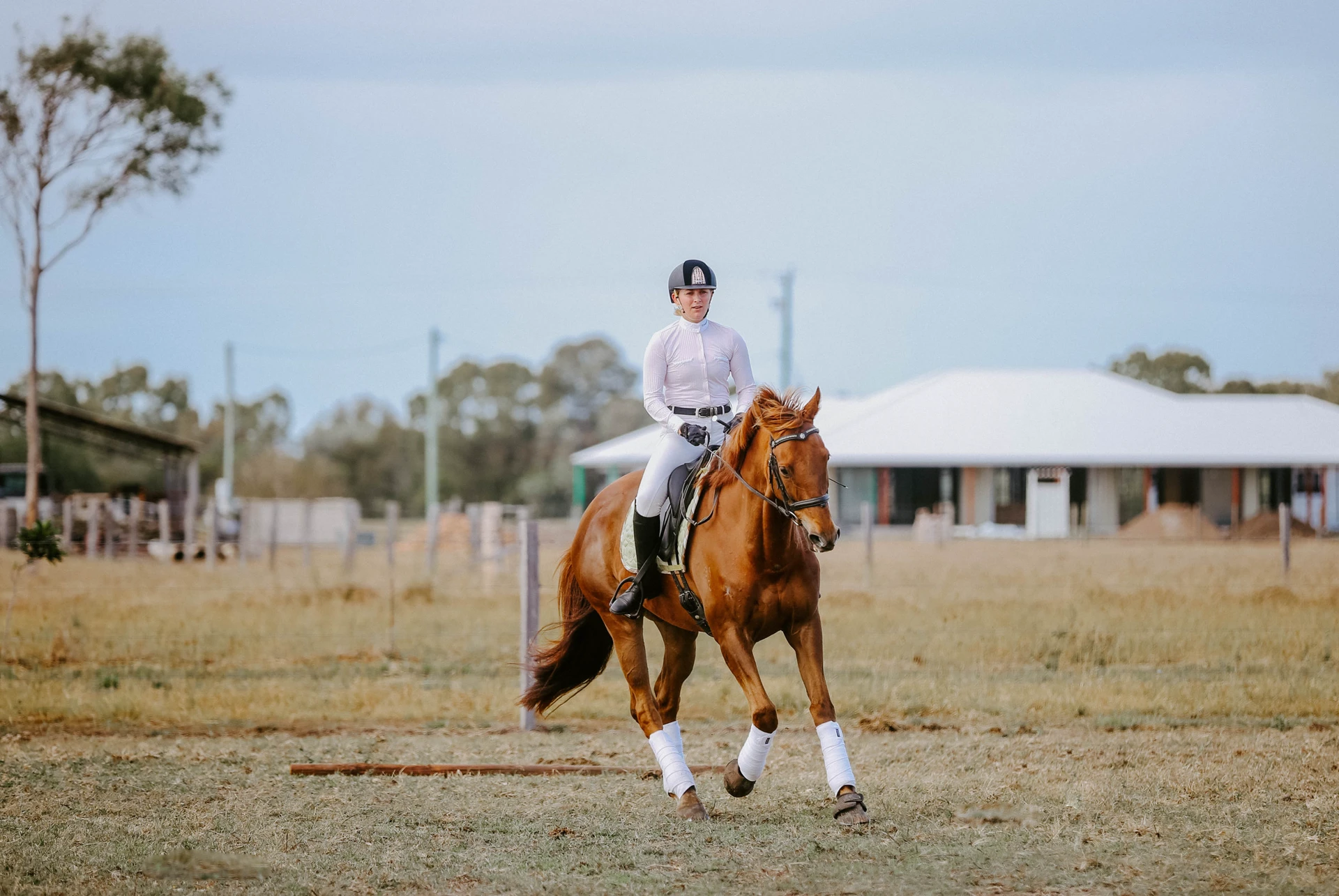 Horse and rider trotting