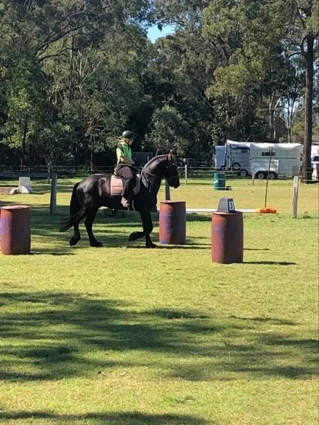 Working equitation