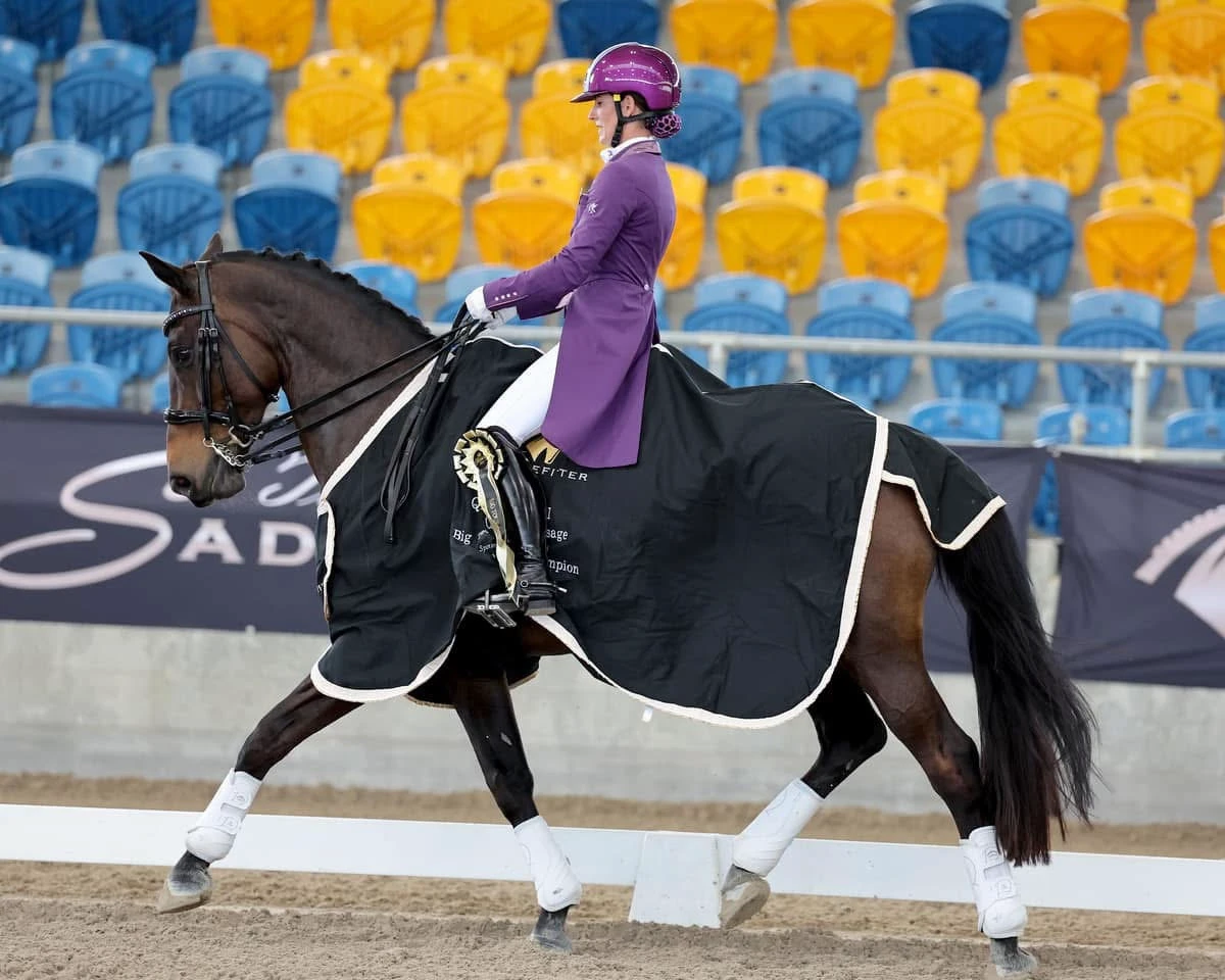 Dressage rider in a tailcoat in a stadium