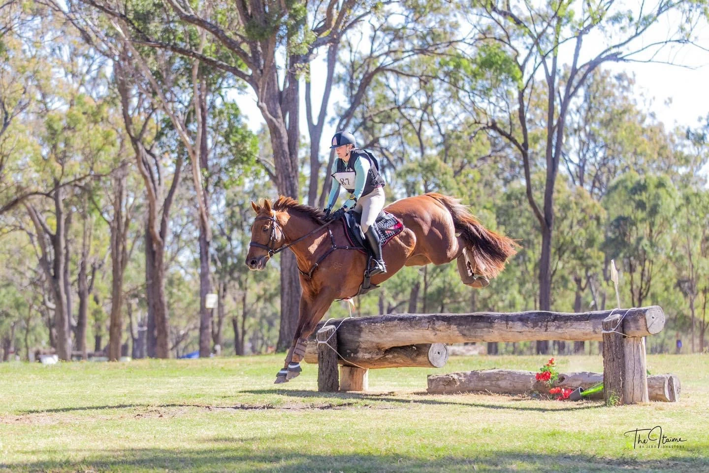 Jumping a log in the bush