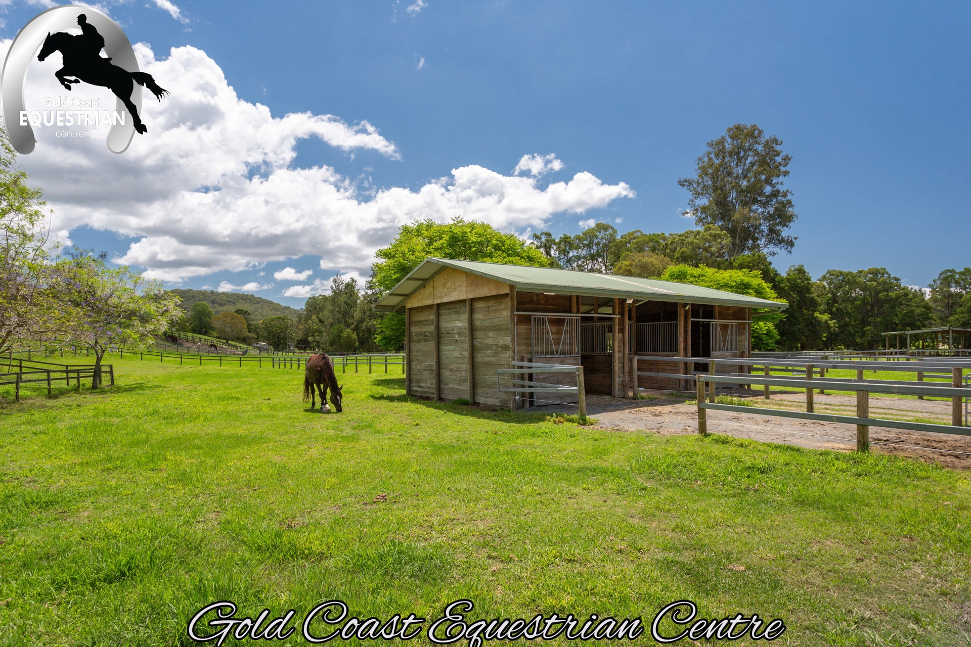 Green paddocks and field shelter