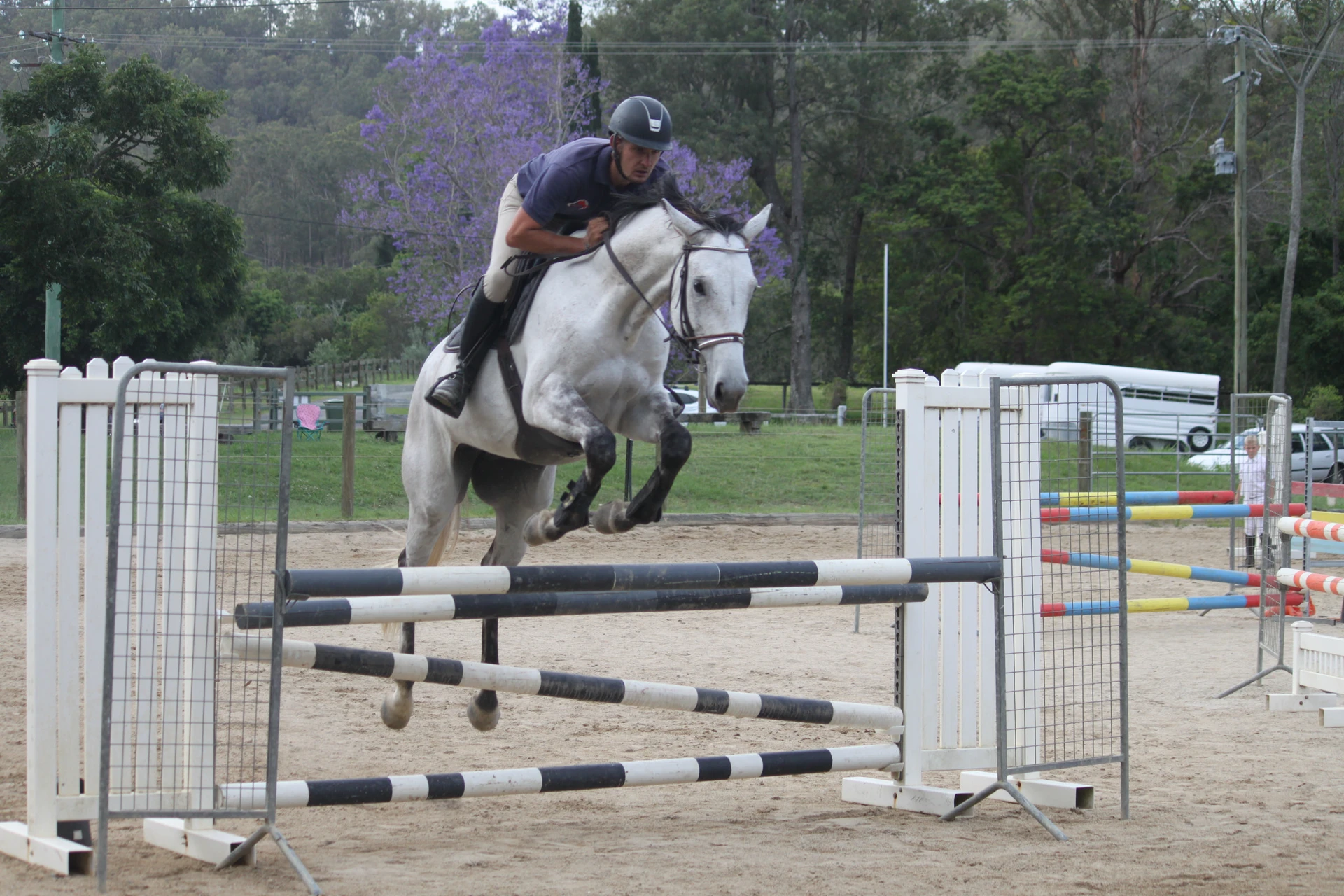 A grey pony jumping