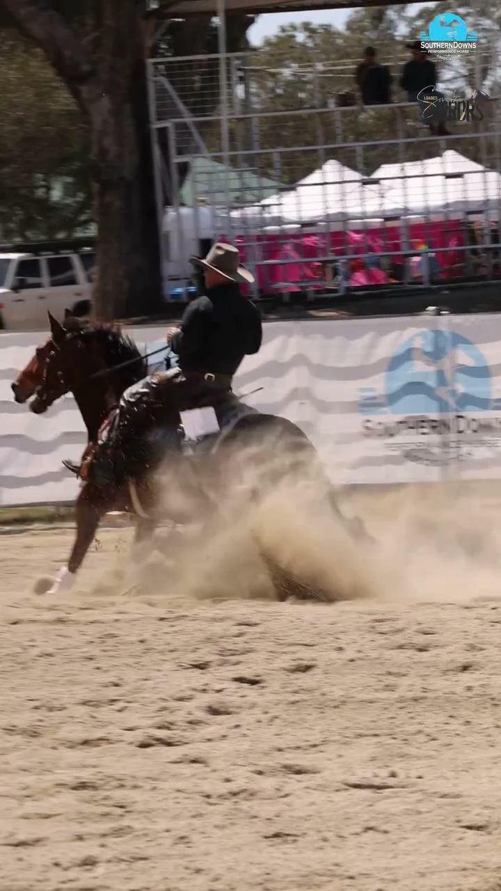 A horse in a sliding stop throws up the arena sand