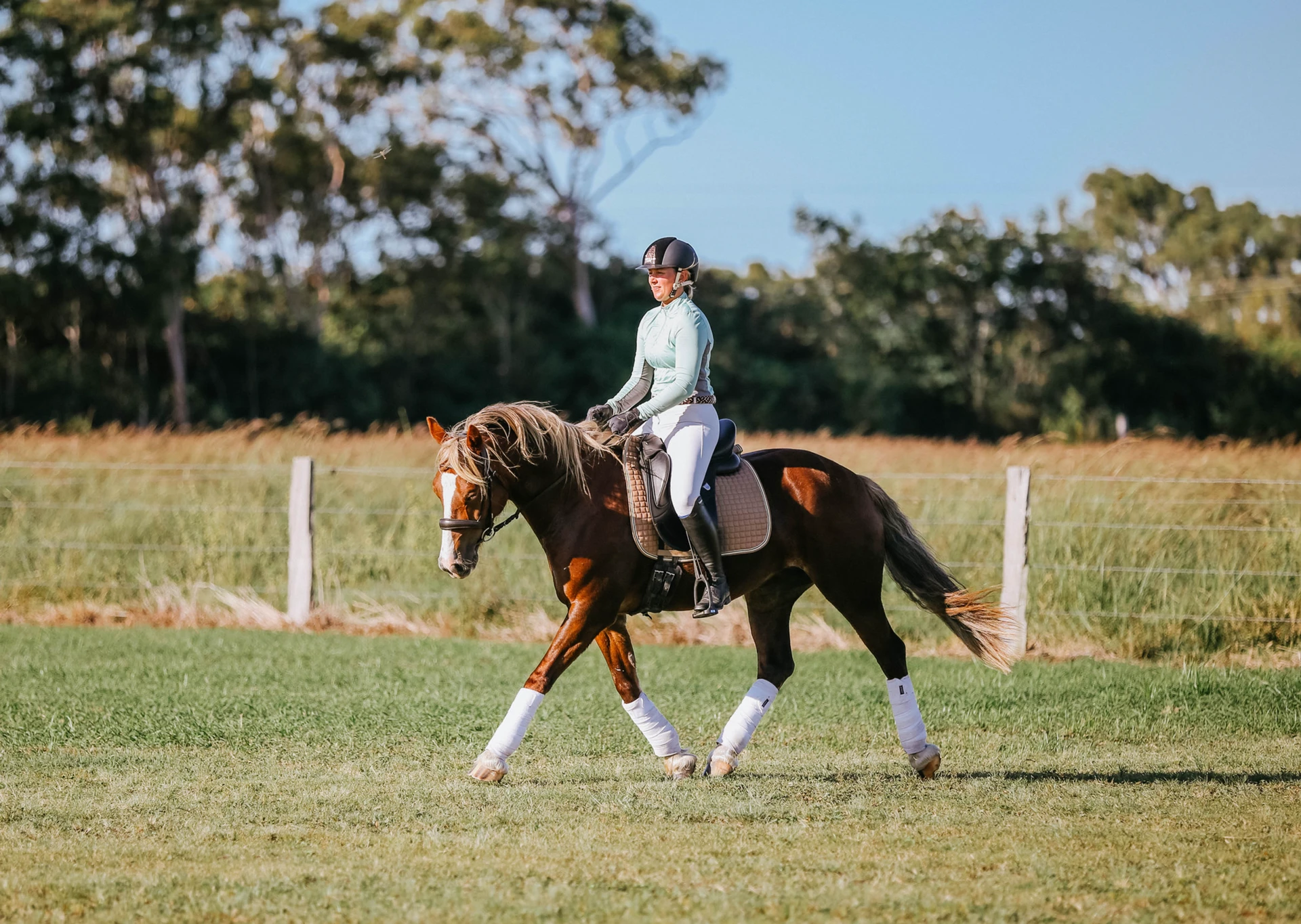 Dressage on grass