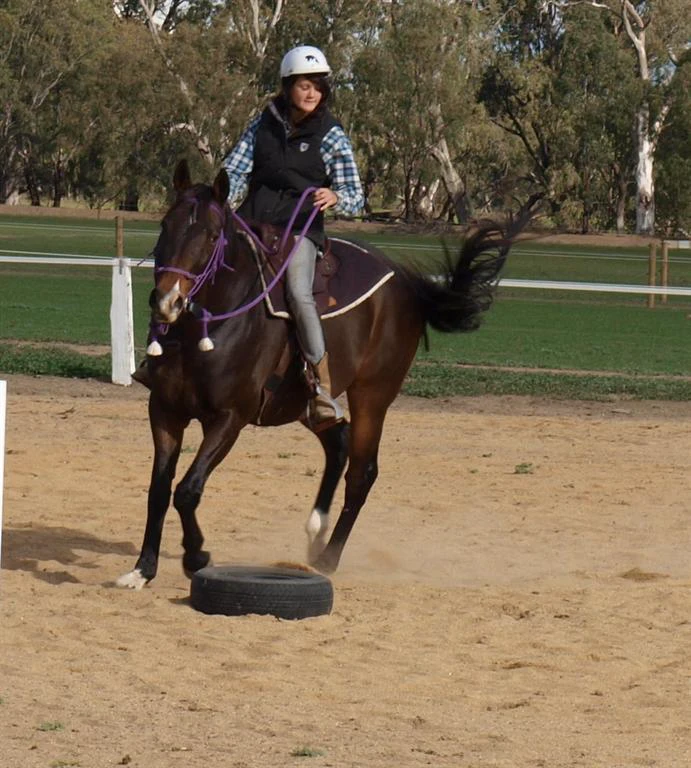 Junior Club HorseHand riders on their own horses