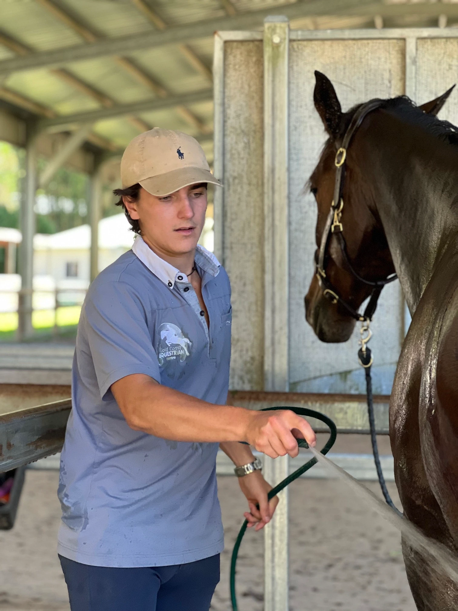 A coach at work with a horse