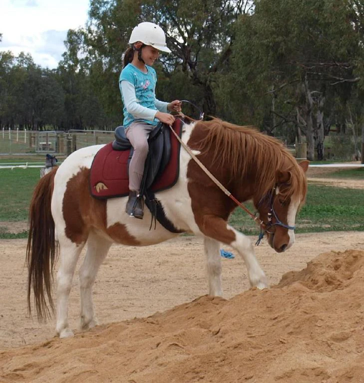 Junior Club HorseHand riders on their own horses