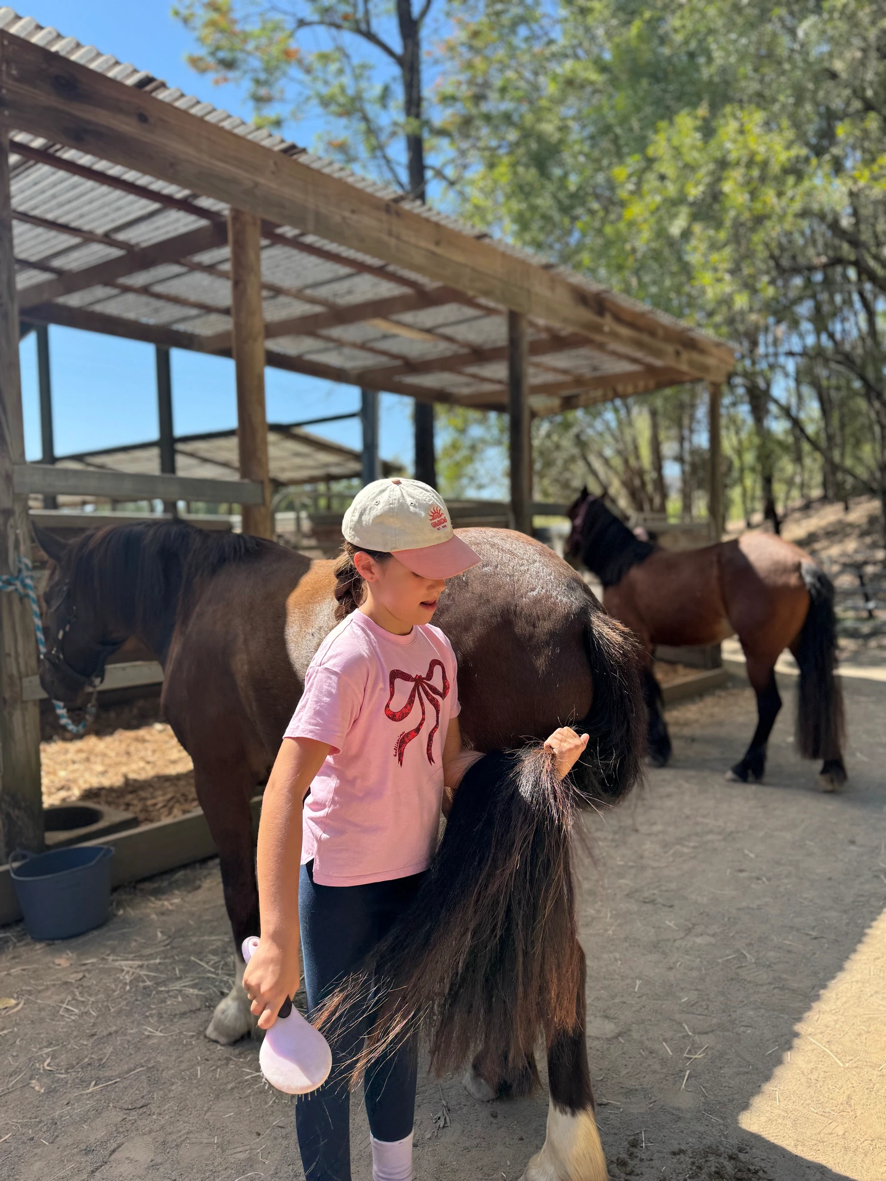 A girl grooming a pony