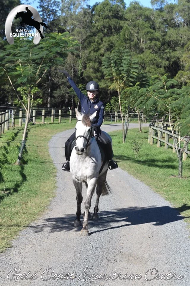A rider on a grey horse coming up the driveway
