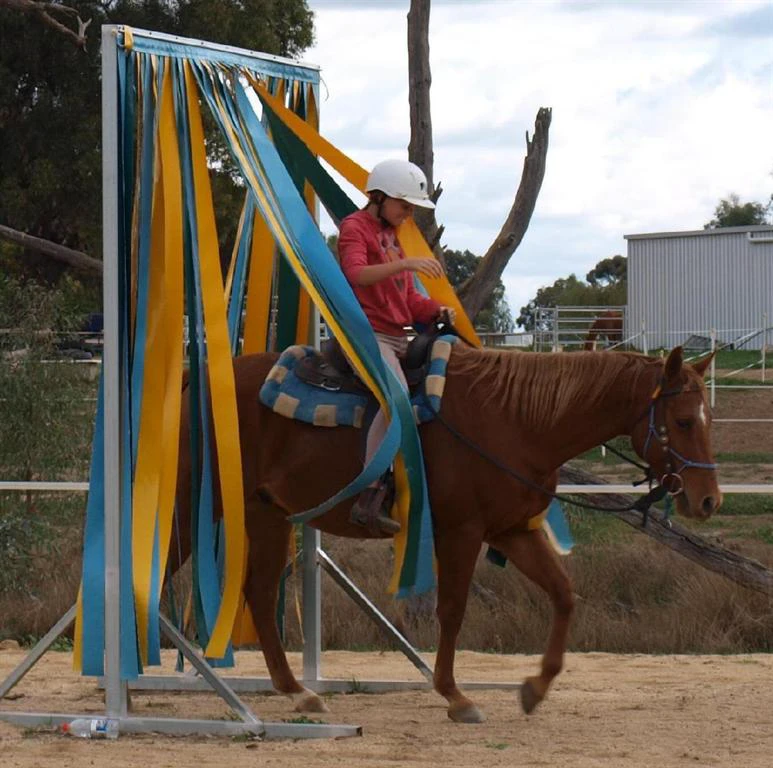 Junior Club HorseHand riders on their own horses