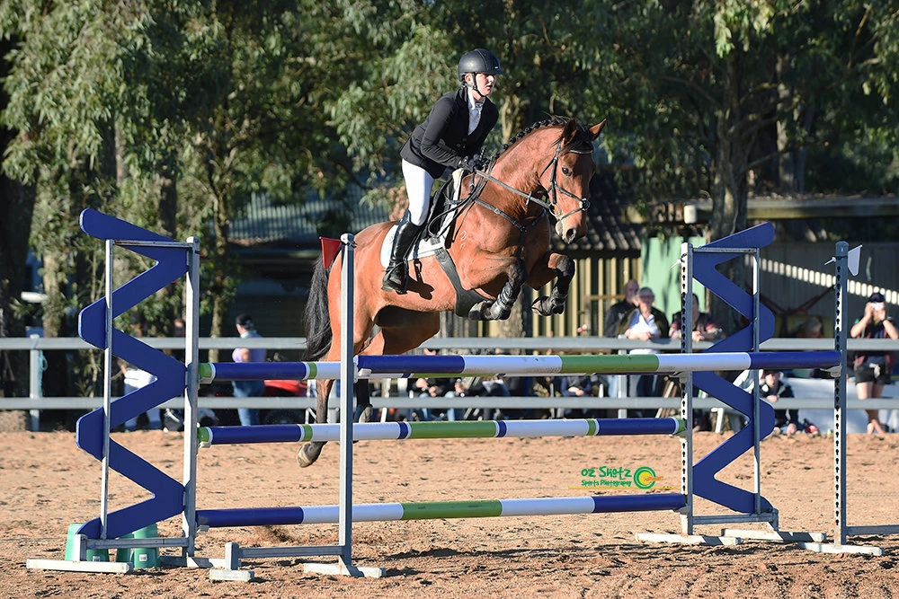Jumping a blue show jump