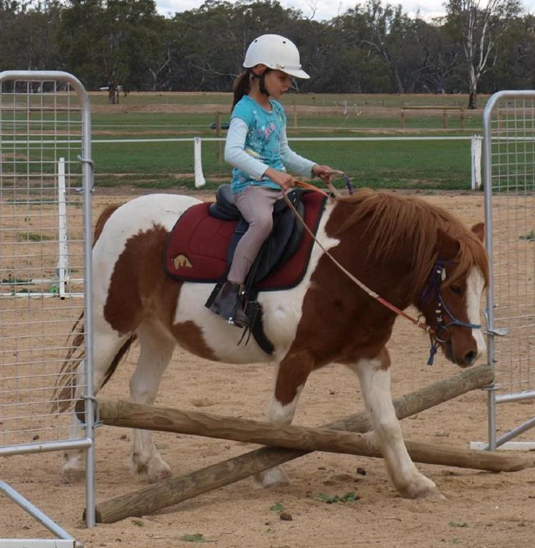 Junior Club HorseHand riders on their own horses