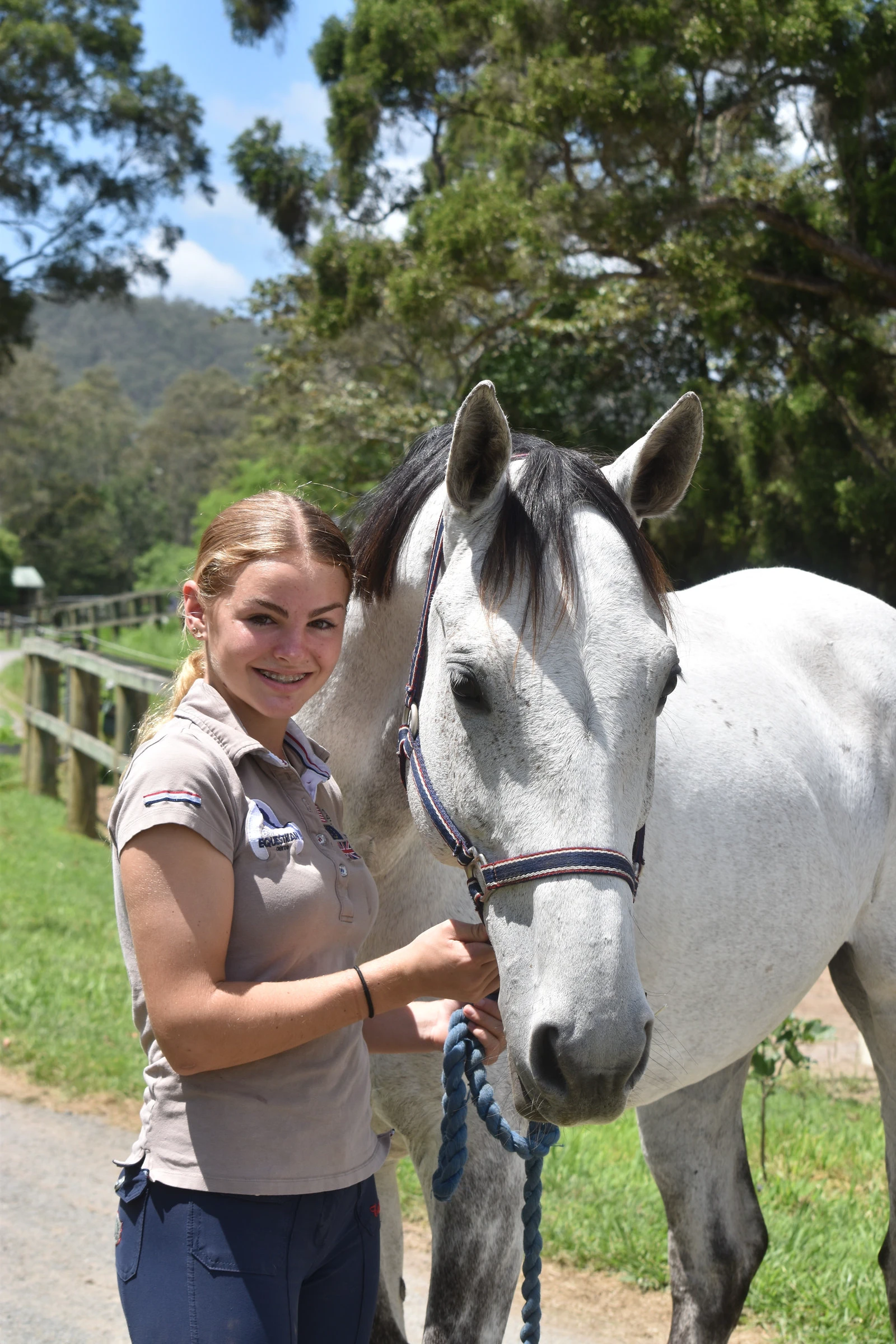 A coach with a grey horse
