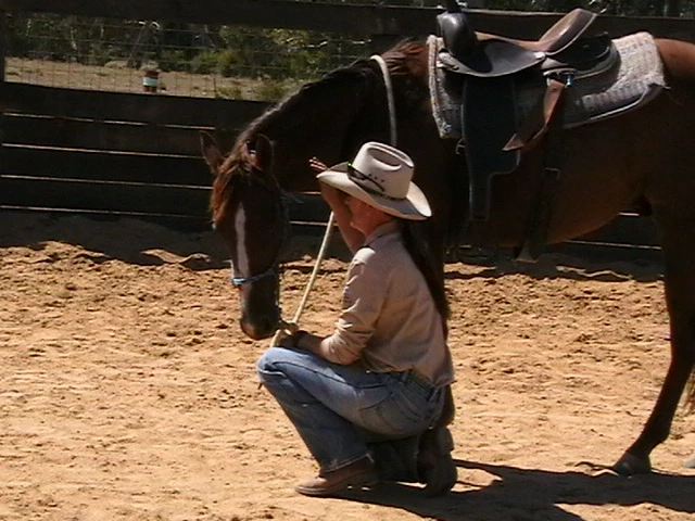Starting a young horse