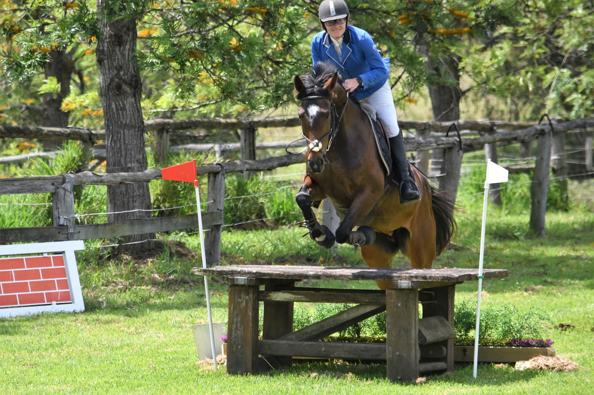 A horse jumping a cross-country log