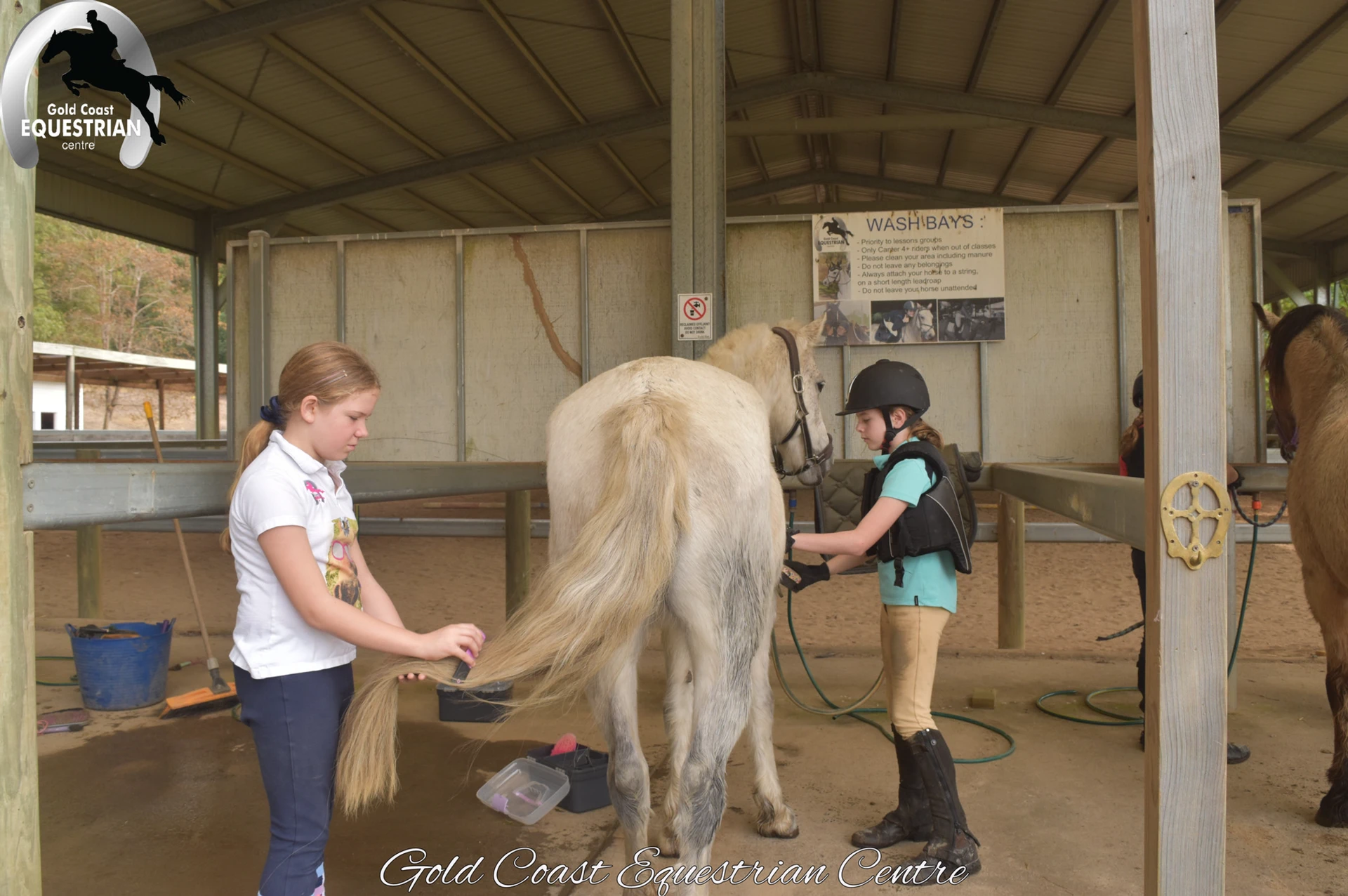 A girl washing a grey pony in the wash bay
