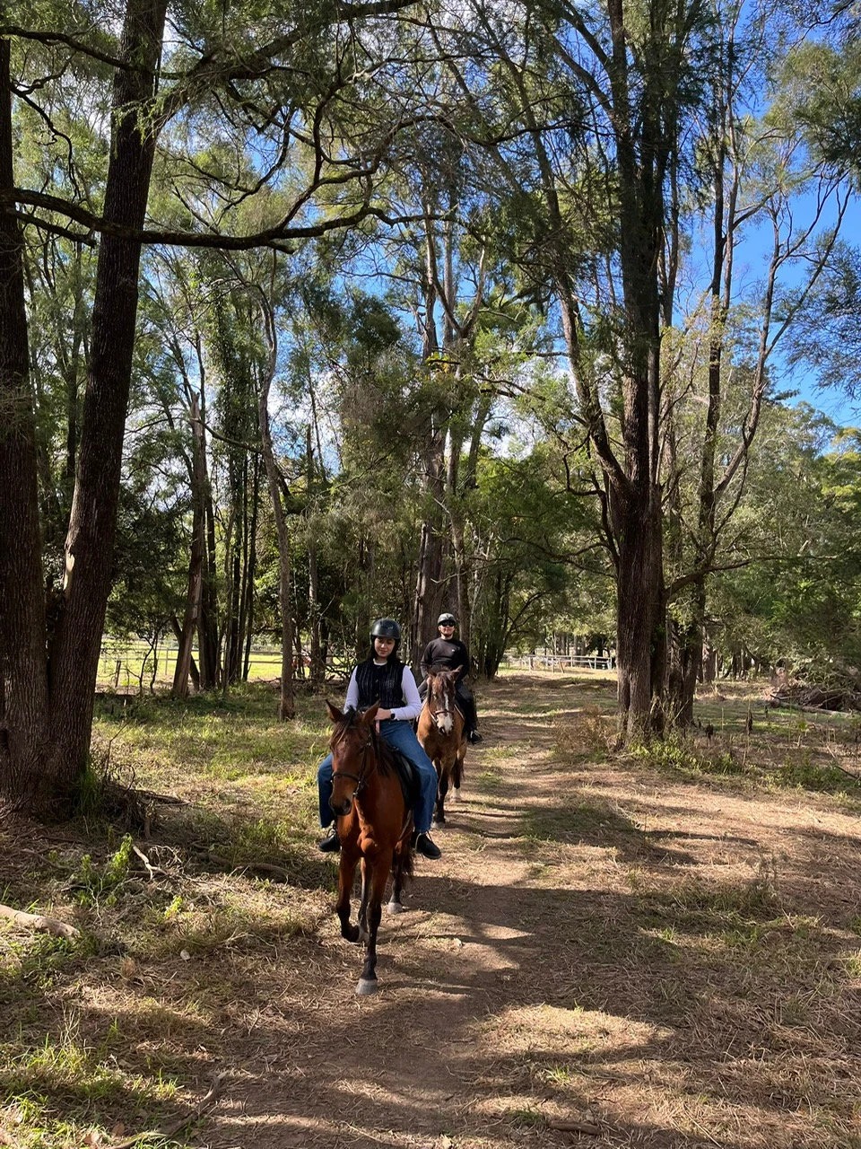 A rider on a bush track