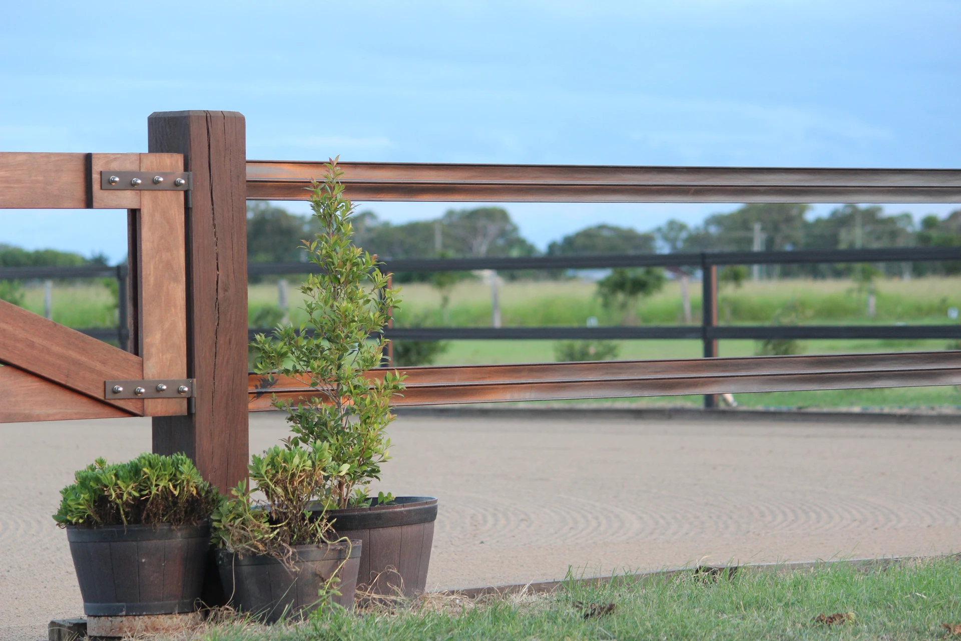 Arena gate with potted plants