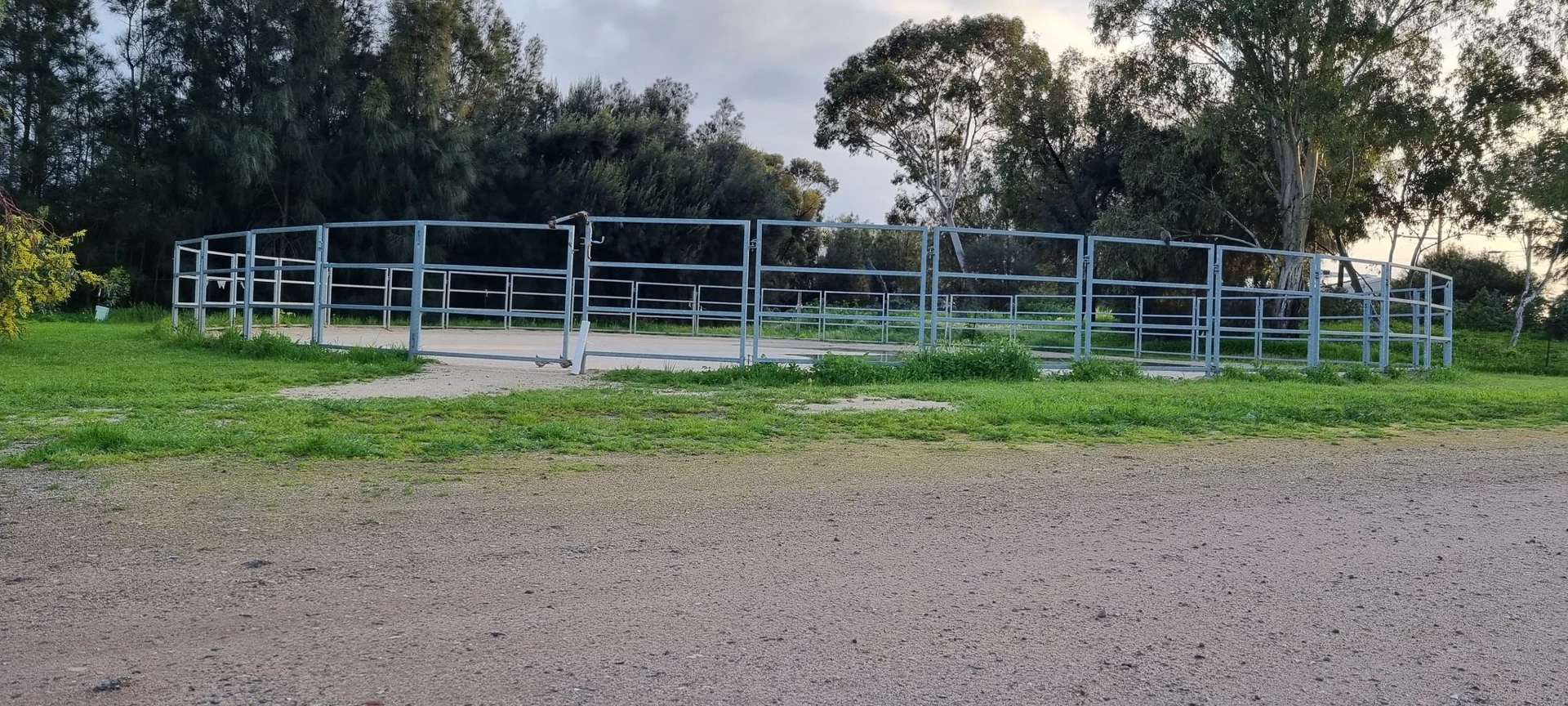 Lunge ring at Sunnybrae Pony Club