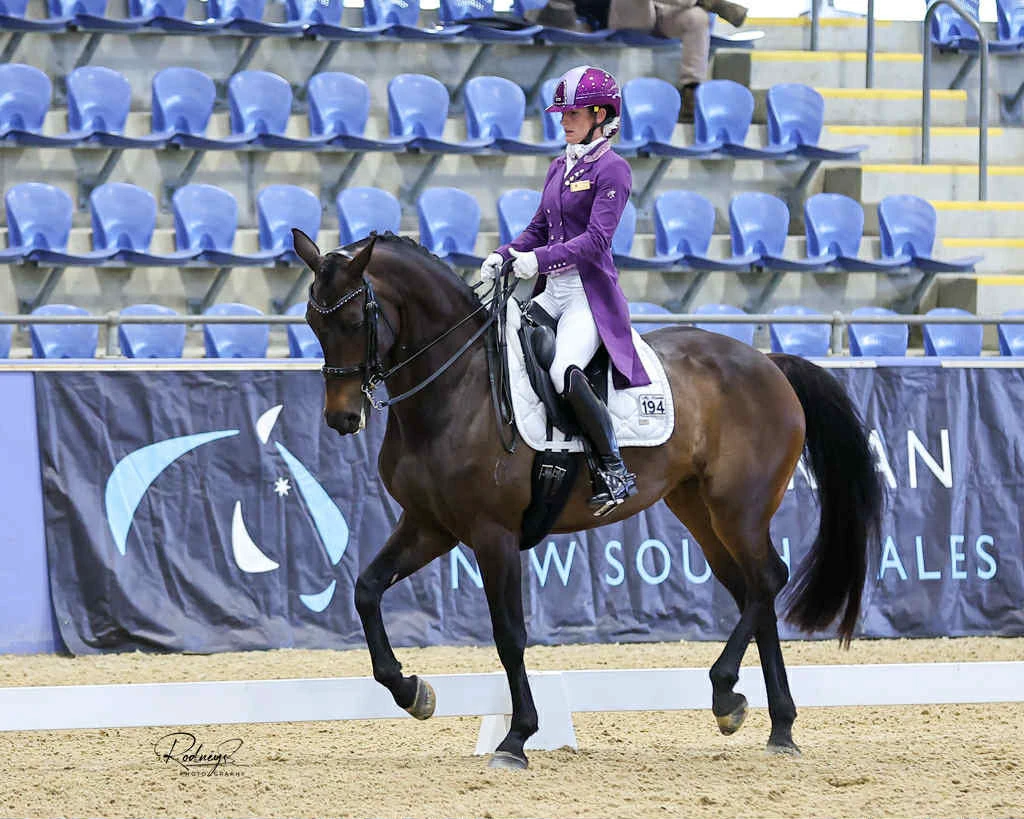 Dressage rider in a tailcoat at a championship