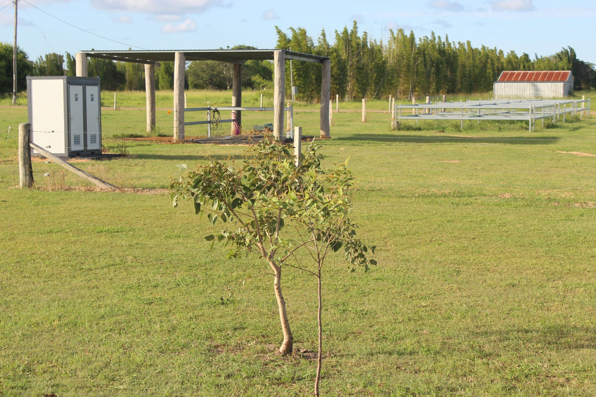 Wash bay shelter and lawn